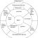 Enterprise microenvironment.  Macro environment of the enterprise.  Structure of marketing environment analysis